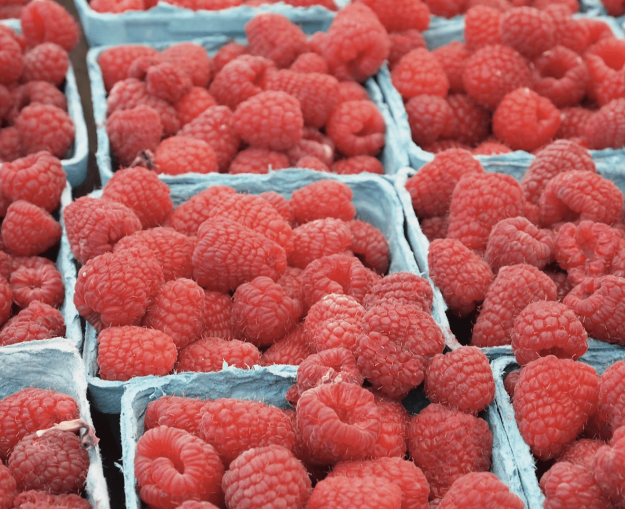 importateur fruits et légumes Europe Primsud