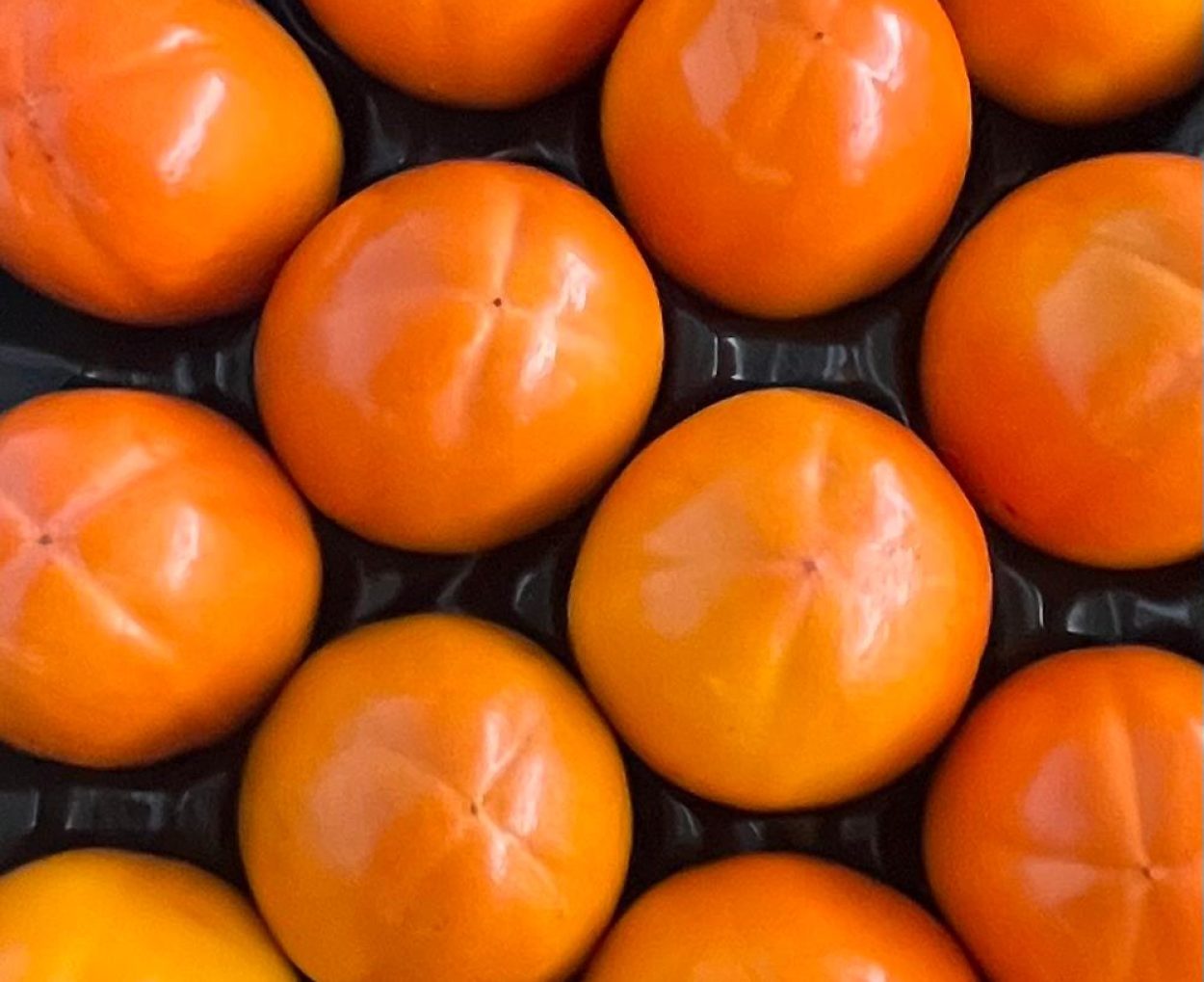 importateur fruits et légumes Europe Primsud